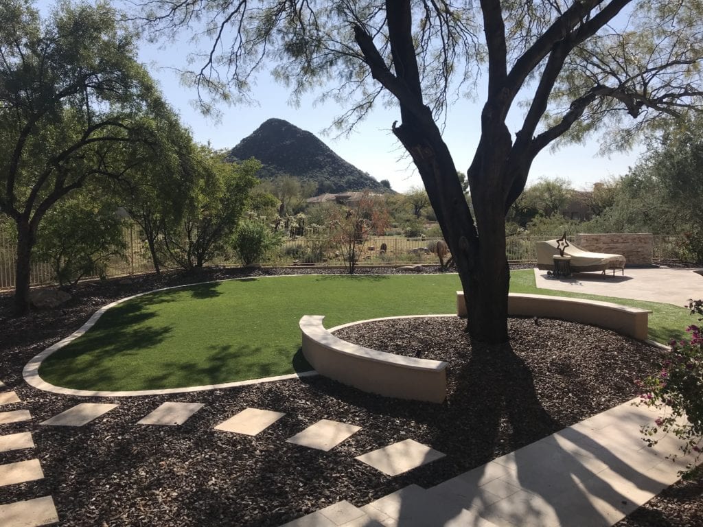 desert backyard with turf and tree green artificial/synthetic grass/turf Turf Monsters AZ