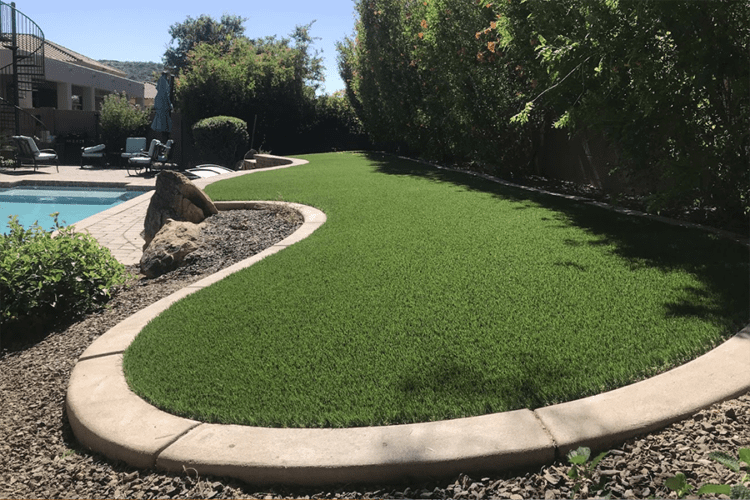Side view of grass with a cement border with small boulders with tall oleanders on the right and a blue pool on the left