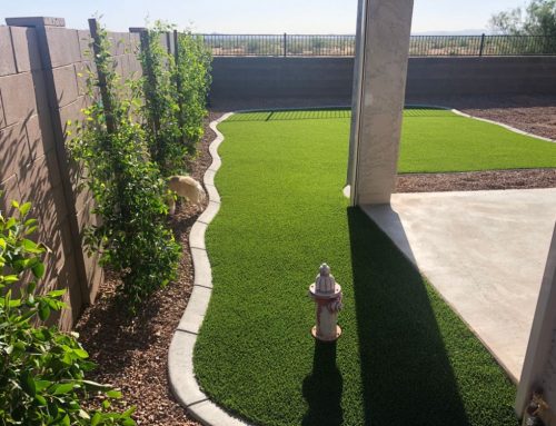 4 Reasons Turf is Better Than Grass in Arizona