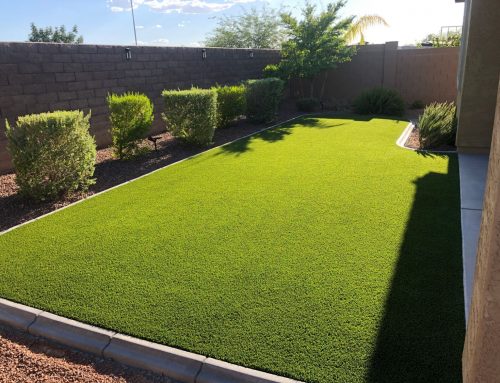 Have Turf Questions? Read Our Top 5 FAQ’s