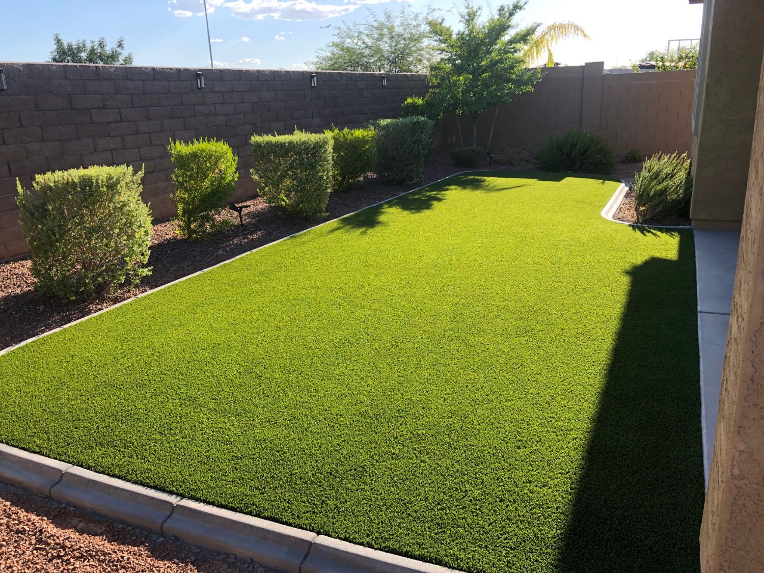 premium artificial turf arizona, premium artificial grass arizona