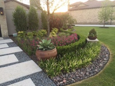 plants and trees landscaping services arizona