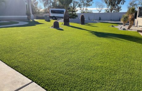large artificial turf lawn with desert plants