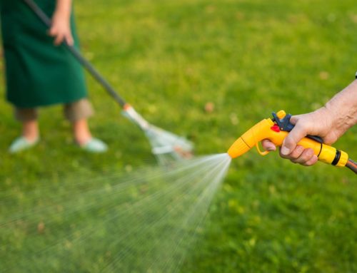 5 Artificial Grass Cleaning FAQs
