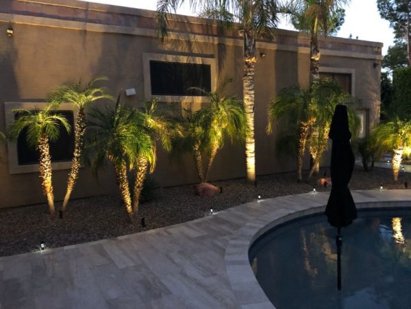 Backyard in Arizona with Lights Shining On Palm Trees