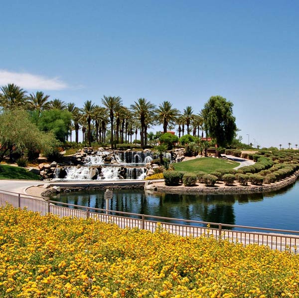 Sun City Arizona Planned Community Flora, Water Feature & Lake