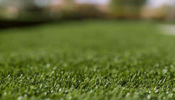 Turf Monsters High Quality Artificial Turf Arizona
