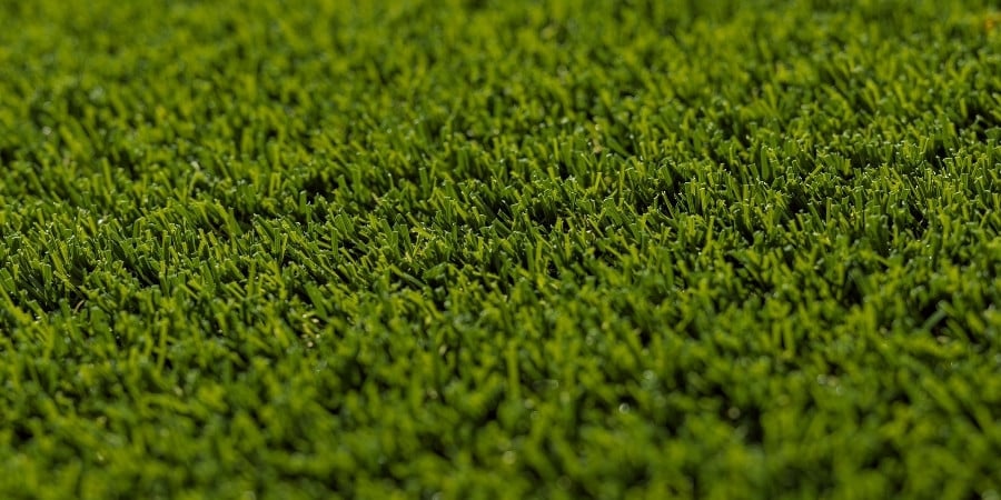 Artificial Turf Blades Arizona