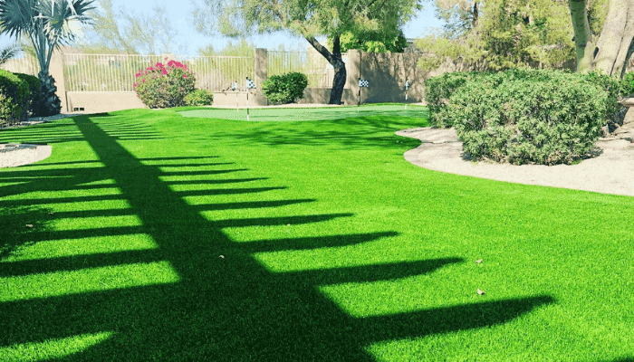 Lush green artificial turf in a sunny Arizona backyard with a custom putting green and shaded patio area.