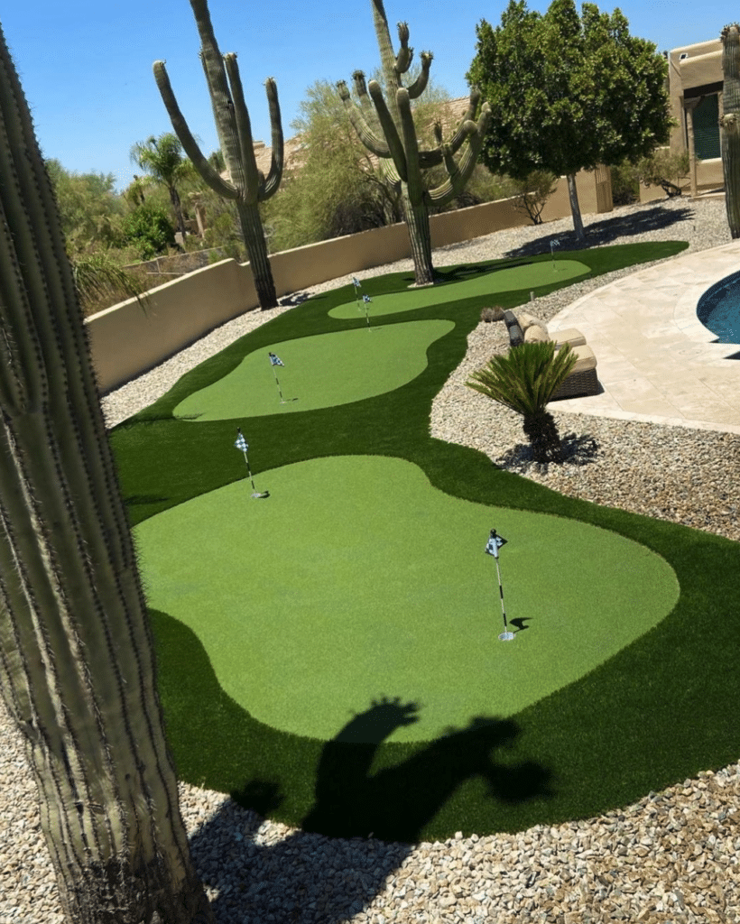 Putting Green in backyard Arizona with cacti