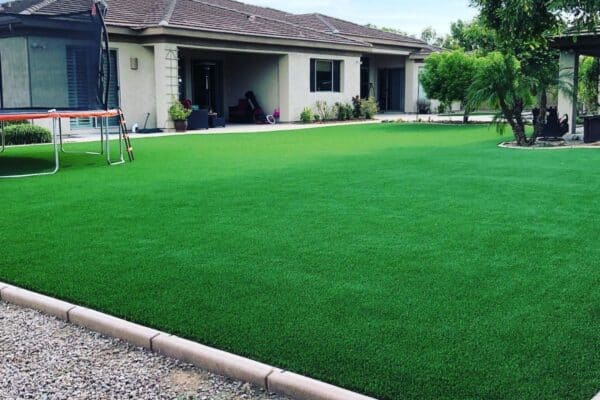 Turf in phoenix