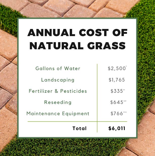 How Do Artificial & Real Grass Costs Stack Up? Turf Monsters