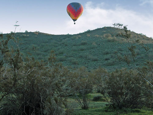 Anthem, Arizona - Multi-colored Hot Air Baloon Over Lush Green Desert Hill