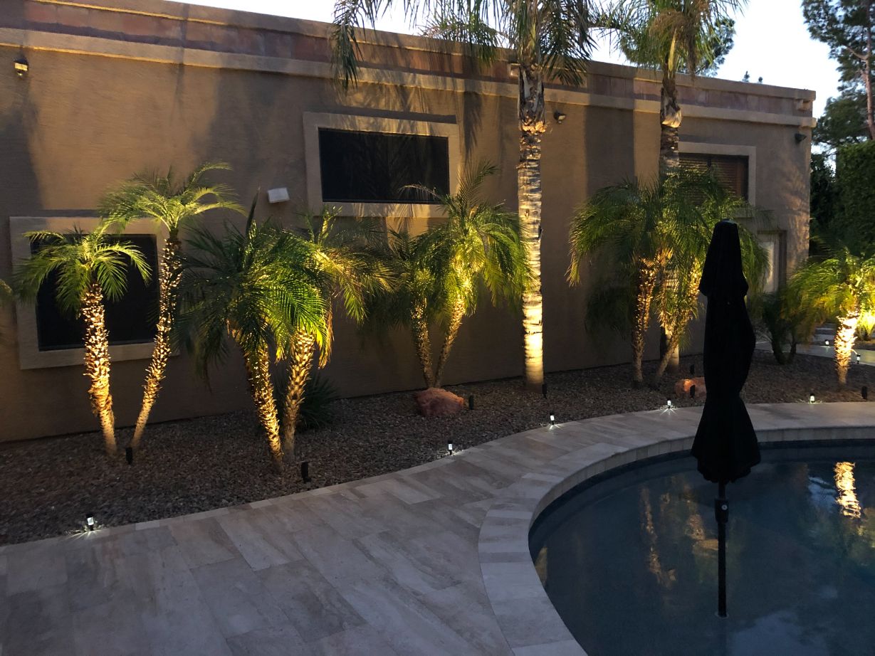 Bollard lights on palm trees in Phoenix AZ