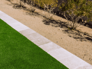 Phoenix desert landscape