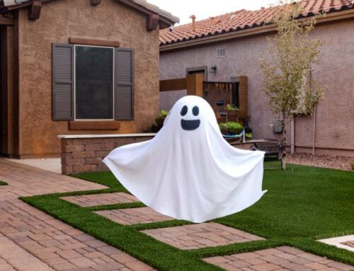 Can I Spray Paint Artificial Turf for Halloween & Holiday Decor?