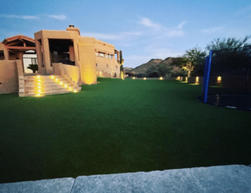 Top 10 Landscaping Trends in Phoenix for 2025