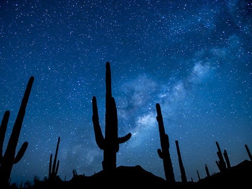 Sun City Arizona Desert Saguaro Silhouettes at Night with Stars in Sky