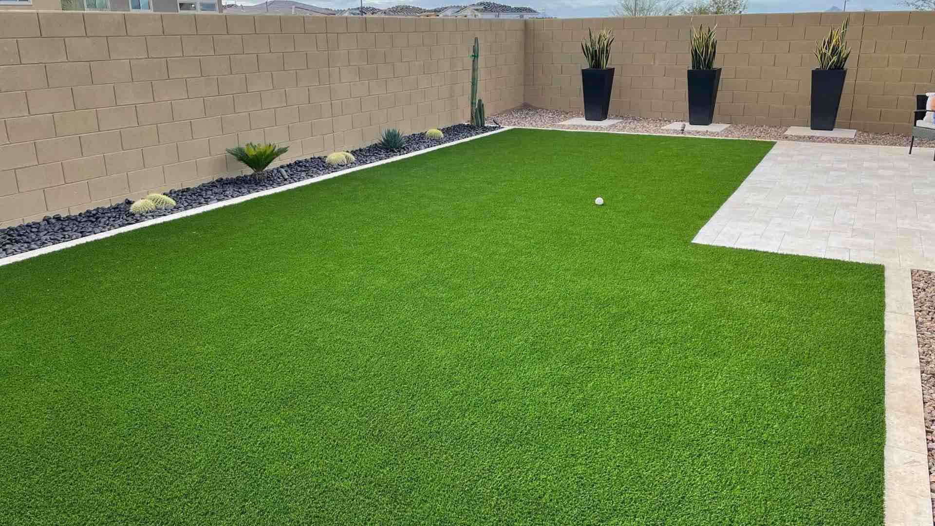turf and plant landscape